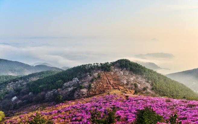 대금산 (10) 이미지