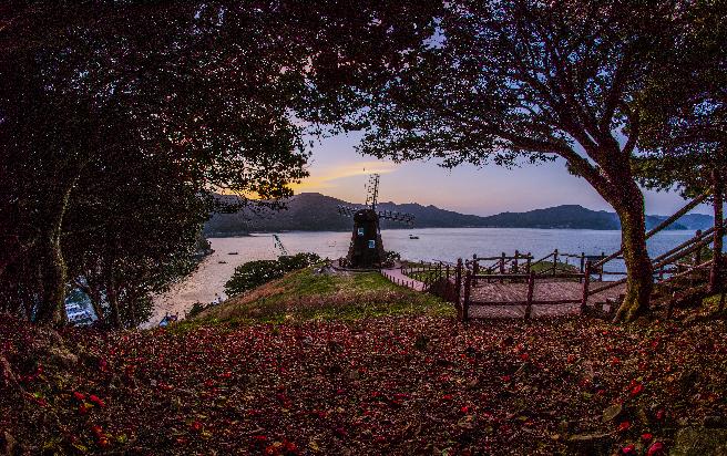 바람의 언덕 (2) 이미지