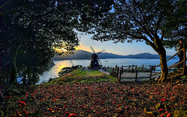 바람의 언덕 (4) 이미지