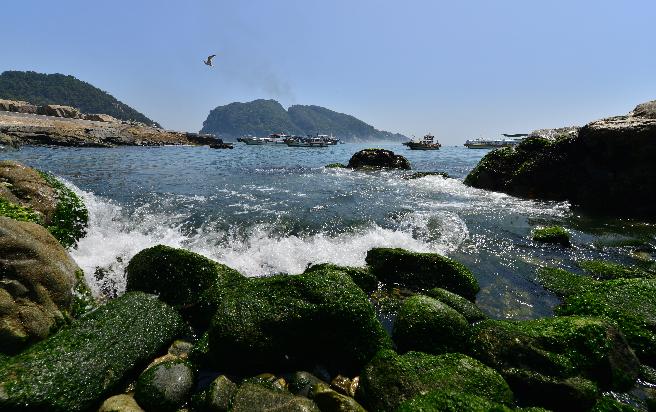 해금강 (3) 이미지