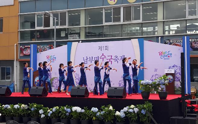 2018 남부면 수국 축제 (7) 이미지