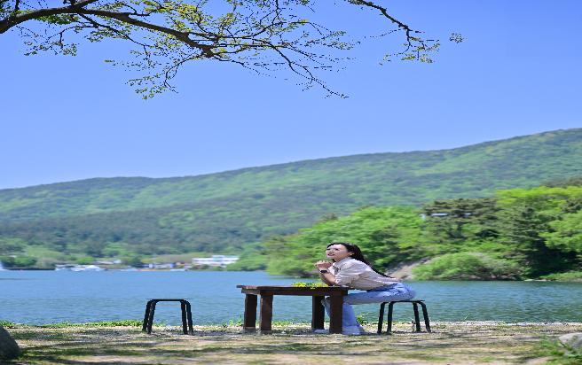 동부 저수지 벼루목 (1) 이미지