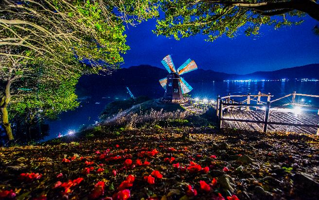 바람의 언덕 이미지