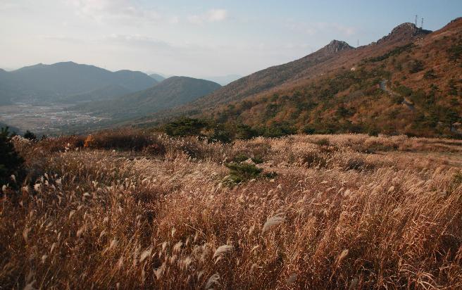 선자산 가을