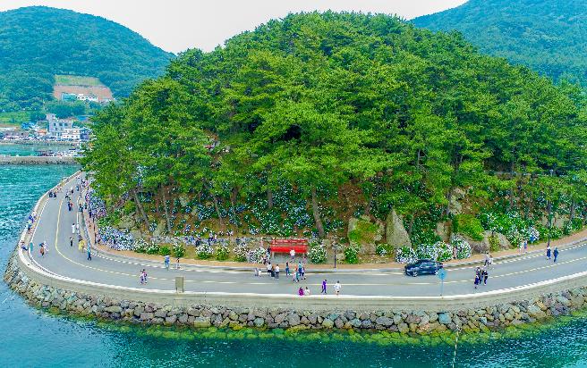 남부면 수국 축제 이미지