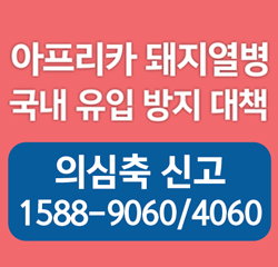 아프리카돼지열병 국내유입방치대책
의심축 신고 1588-9060/4060