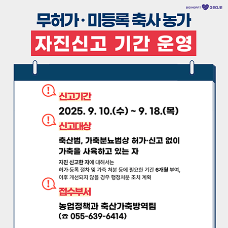 BIG HEART GEOJE
무허가·미등록 축사 농가
자진신고 기간 운영
신고기간 2025. 9. 10.(수) ~ 9. 18.(목)
신고대상 축산법, 가축분뇨법상 허가·신고 없이 가축을 사육하고 있는 자
자진 신고한 자에 대해서는 허가·등록 절차 및 가축 처분 등에 필요한 기간 6개월 부여, 이후 개선되지 않을 경우 행정처분 조치 계획
접수부서 농업정책과 축산가축방역팀 (☎ 055-639-6414)