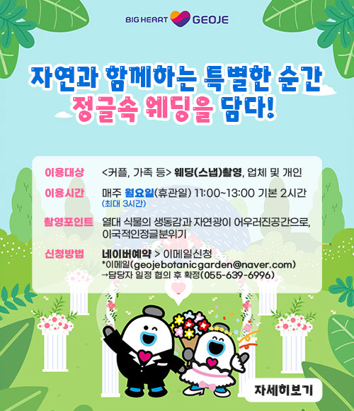 자연과 함께하는 특별한 순간
정글속 웨딩을 담다!
이용대상:커플,가족 등 웨딩(스냅)촬영, 업체 및 개인
이용시간:매주월요일(휴관일)11:00~13:00 기본 2시간 최대 3시간
촬영포인트: 열대 식물의 생동감과 자연광이 어우러진공간으로 이국적인 정글분위기
신청방법:네이버예약>이메일신청
*이메일(geojebotanicgarden@naver.com)
담당자 일정 협의 후 확정(055-639-6996)