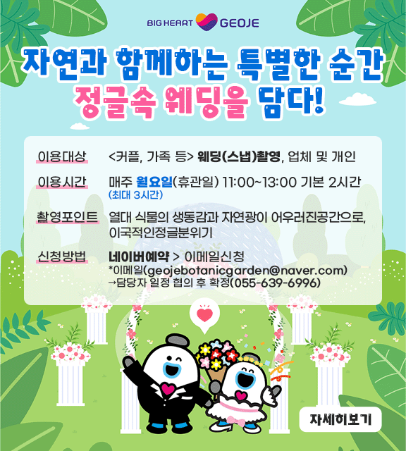 정글돔 웨디촬영 장소대여 (새창으로 열림)